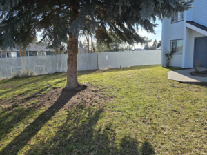 A newly installed white chain-link privacy fence by Crows Quality Fencing in Spokane Valley, WA.