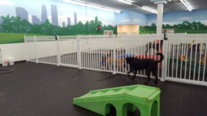 White fences installed to divide dog play areas in an indoor facility by Best Fence and Rail in Jacksonville, FL.