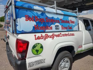 Rear view of a white Lady Bug ECO FRIENDLY Pest Control truck advertising services in Mesa, AZ.
