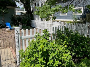 A classic white picket fence surrounding a garden area at a residential home by Cameron Fence Builders in Indianapolis, IN.