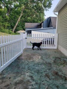 A charming white picket fence with a gate, creating a secure, dog-friendly yard by Sullivan & Sons Fence LLC in Hudson, NH.