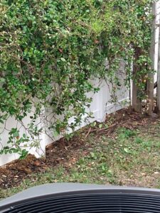 A white vinyl fence installed at a residential property, partially covered by greenery, by Pride Fence LLC in Overland Park, KS.