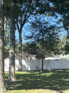 A white vinyl privacy fence visible through trees in a residential backyard by MAC Fencing LLC in Toms River, NJ