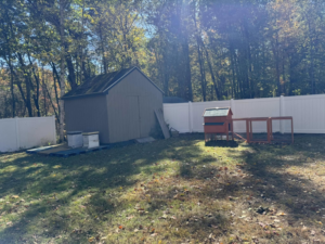 A newly installed white vinyl privacy fence enclosing a backyard with a shed and chicken coop by David Platania Fence in Derry, NH.