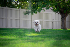 A pristine white vinyl privacy fence enclosing a lush backyard, installed by OneGuard Fencing in Vestavia Hills, AL.