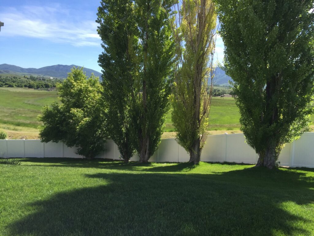 A white vinyl privacy fence with a scenic mountain view installed by Sublime Fencing LLC in North Logan, UT.