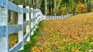 A white wooden split-rail fence installed in a scenic landscape by Sumter Fence Company in South Sumter, SC.