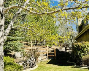 A wide view of a rustic wooden fence in a natural backyard setting by Mule Fence Inc. in Sparks, NV.