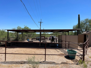 Wide view of a metal fencing enclosure and covered area completed by TACK Fabrication in Romero, Tucson, AZ.
