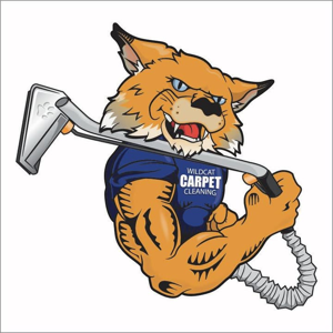 Wildcat Carpet Cleaning
