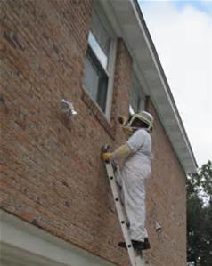 A wildlife control technician in a protective bee suit on a ladder working on a house at All-Around Termite and Pest Control in Tallahassee, FL.