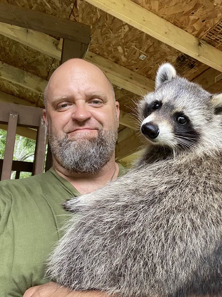 A wildlife control technician holding a raccoon at Rays Property maintenance and Pest Control in Churchville, NY