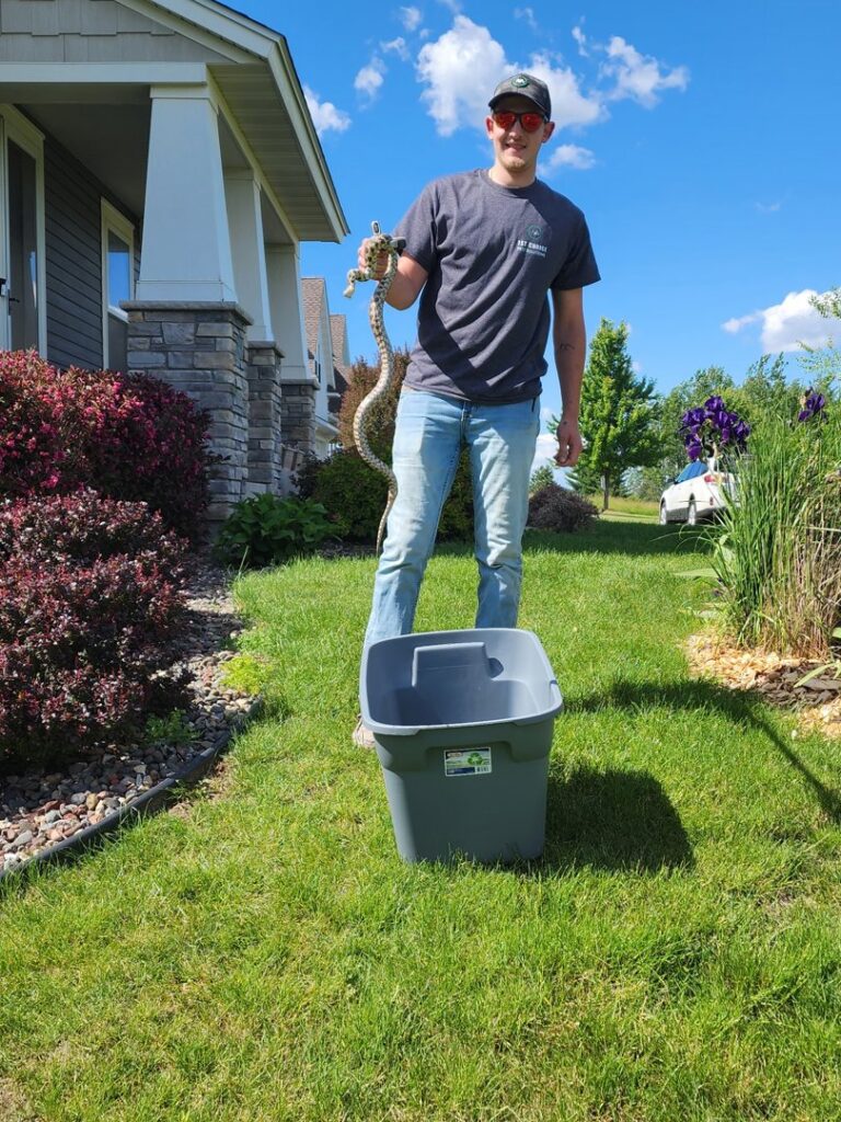 A wildlife control technician holding a snake after removal, standing in a yard for 1st Choice Pest Solutions in Eau Claire, WI.