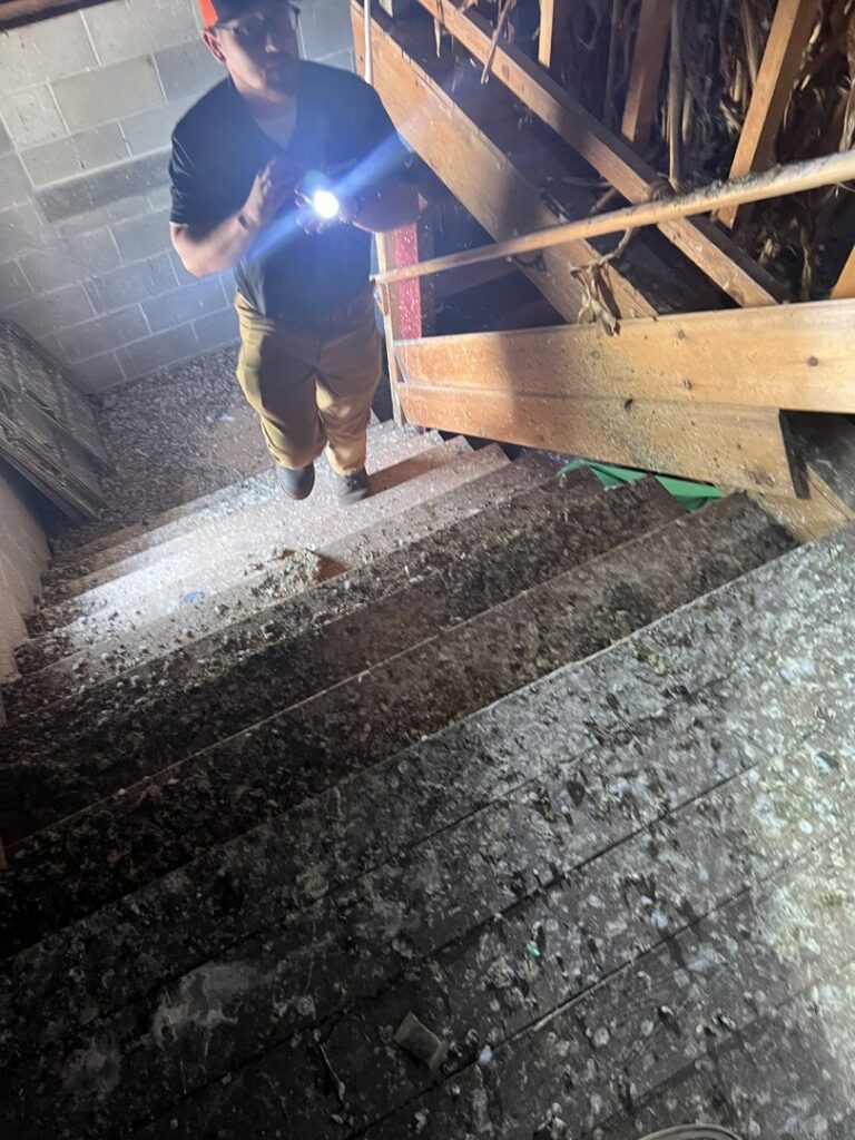 A Catseye Pest Control technician inspecting stairs covered in animal waste during a wildlife job in Hartford, CT.