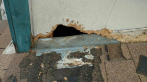 Significant wildlife damage to a roof eave, a common problem solved by Lakeline Pest Control in Leander, TX