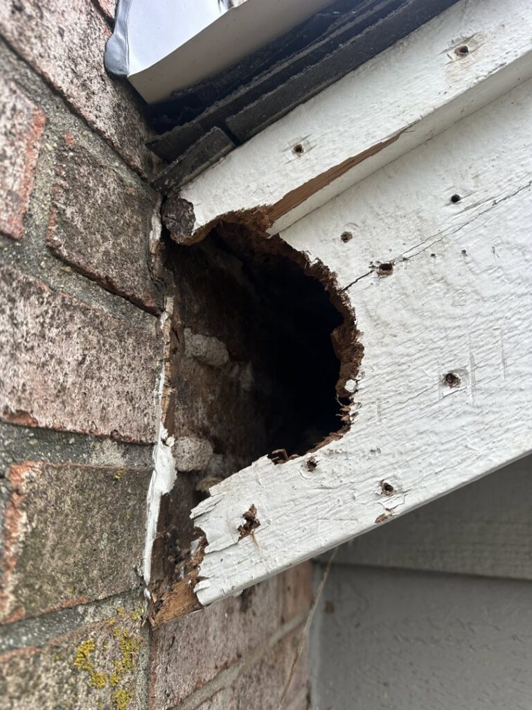 A large hole in a damaged wooden soffit, indicating a wildlife entry point, addressed by D&K Pest Control and Wildlife Removal, LLC in Woodridge, IL