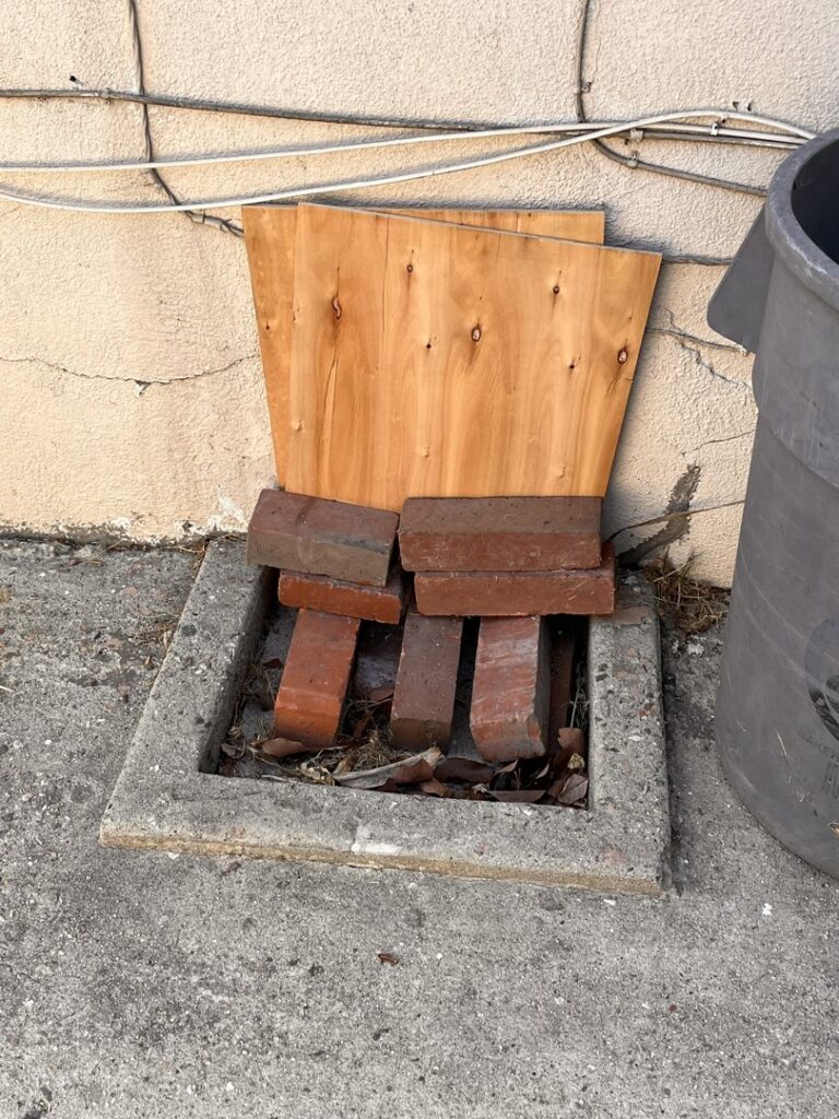 A wildlife entry point sealed with bricks and plywood by Animal Boy Trapping Services LLC in Long Beach, CA.