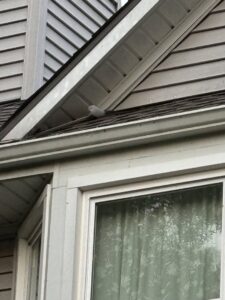 A wildlife exclusion device installed on a roofline, demonstrating pest prevention by Critter Mitch in Shawnee, KS.