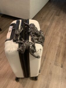 Exclusion foam applied to a damaged suitcase, demonstrating wildlife damage repair by Critter Control of Charleston, SC.