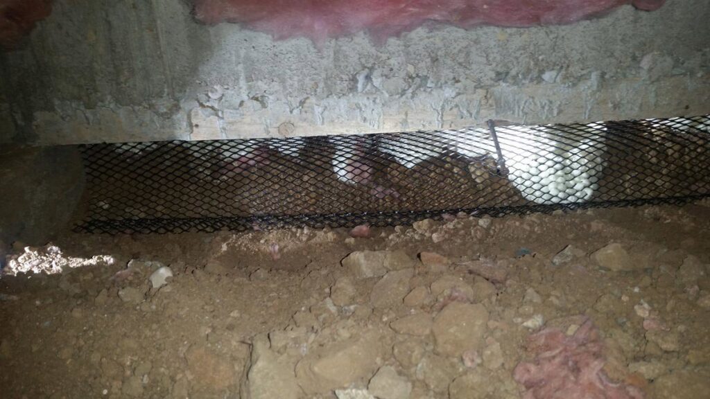 A black mesh barrier installed under a building foundation for wildlife and pest exclusion by Front Range Pest Control of Ft. Collins Inc. in Fort Collins, CO.