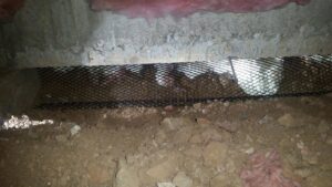 A black mesh barrier installed under a building foundation for wildlife and pest exclusion by Front Range Pest Control of Ft. Collins Inc. in Fort Collins, CO.