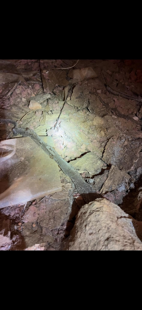 Wildlife exclusion mesh installed in a dark, rocky crawl space by Stratton at Star City Home Solutions in Roanoke, VA
