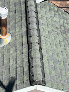 Wildlife exclusion mesh installed along a roof ridge to prevent animal entry by Idaho Bat Control in Meridian, ID