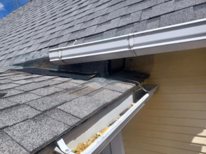 Wire mesh installed on a roofline for wildlife exclusion by HARP Humane Animal Relocation & Prevention in Colorado Springs, CO.
