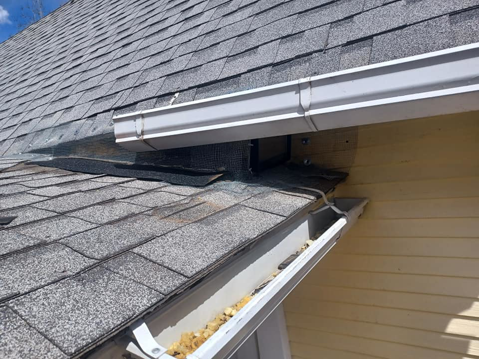 Wire mesh installed on a roofline for wildlife exclusion by HARP Humane Animal Relocation & Prevention in Colorado Springs, CO.