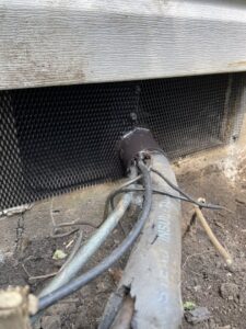 Mesh exclusion installed along house siding to prevent wildlife entry by D&K Pest Control and Wildlife Removal, LLC in Woodridge, IL