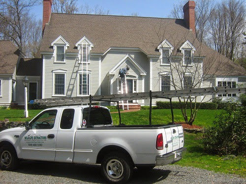 A Wildlife Extractors truck parked at a residential home with a worker on a ladder, performing wildlife control in Bridgewater, MA.