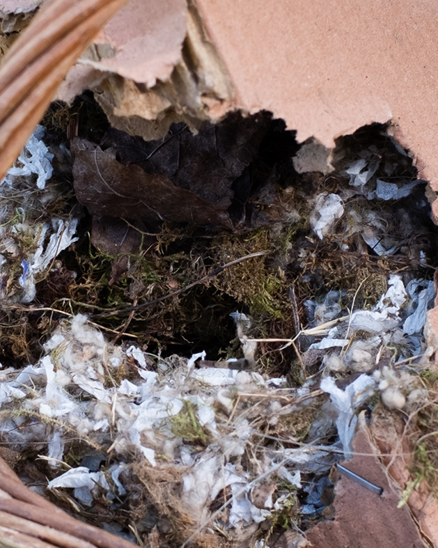 A wildlife nest made of leaves and fluff inside a broken structure, a common issue for Pine State Pest Solutions in Auburn, ME.