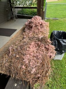 A pile of removed nesting material, including insulation and debris, from a wildlife exclusion job by PestGoat, llc. in Fort Ashby, WV.