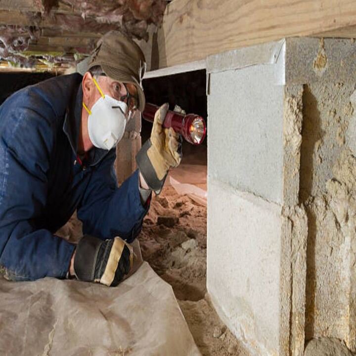 A wildlife and pest control technician inspecting a crawl space with a flashlight for TOTAL Exterminating Co. Inc. in Indianapolis, IN.
