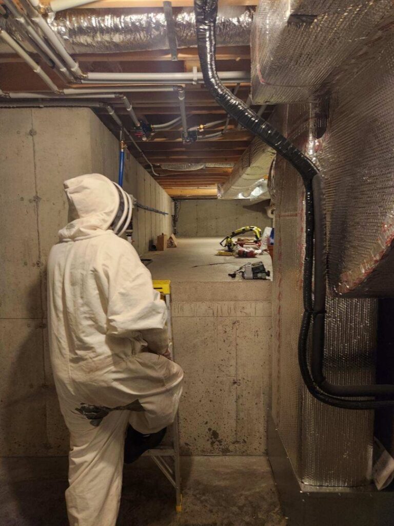 A wildlife and pest control technician in a bee suit inspecting a basement for pests at Cedar Tree Turf & Pest Solutions in Albany, NY.