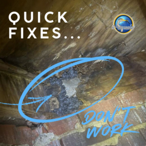 Evidence of wildlife or pest droppings in an attic or crawl space, indicating a problem for Chesapeake Pest Control in Chesapeake, VA