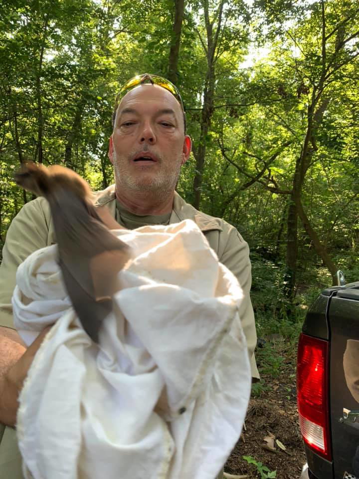 A wildlife professional from Nuisance Wildlife in Palmetto, FL, holding a bird wrapped in a cloth after a capture or rescue.
