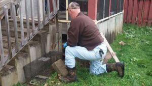 A wildlife professional from Nuisance Wildlife in Palmetto, FL, using a net to capture a small animal in a residential driveway.