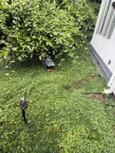 A wildlife trap and trail camera set up in a grassy area near a home by Tailor Made Pest and Wildlife for animal control in Louisville, KY.
