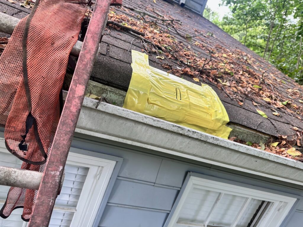 A yellow wildlife trap or exclusion device placed in a gutter on a roof by Smart Solutions Wildlife Removal Specialists in Roswell, GA.