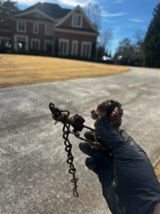A gloved technician holding a wildlife trap with a captured animal, demonstrating pest control services by Southern Pest Mgmt in Johns Creek, GA.