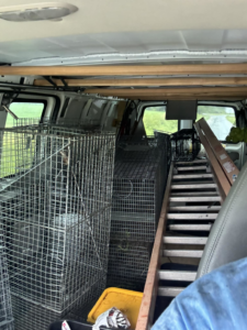 A DefendPro Pest Solutions van in Rushville, IL, loaded with multiple live traps for wildlife removal services.