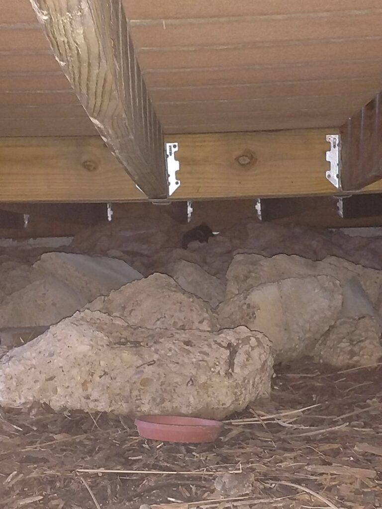 An inspection of a cluttered space under a deck, revealing potential wildlife activity, by Kansas Wildlife Pros in Wichita, KS.