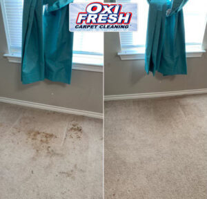 Before and after of a carpeted area near a window cleaned by Oxi Fresh Carpet Cleaning in Frederick, MD