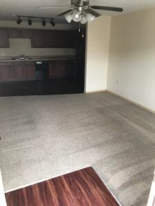 Reliable Carpet Cleaning LLC vans set up for a carpet cleaning job in snowy winter conditions in Liverpool, NY.