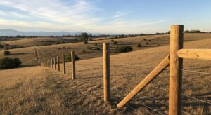 A long wire fence with wooden posts stretching across a rural landscape by Horizon Fence & Custom Gates, Inc. in Orangevale, CA.