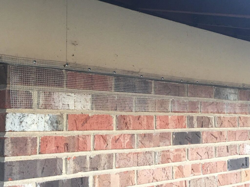 Wire mesh installed on a brick wall for pest and wildlife exclusion by Paske Pest Control & Wildlife Solutions in Cape Coral, FL.