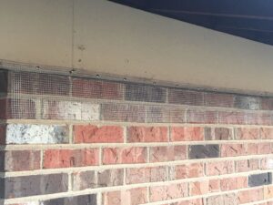 Wire mesh installed on a brick wall for pest and wildlife exclusion by Paske Pest Control & Wildlife Solutions in Cape Coral, FL.