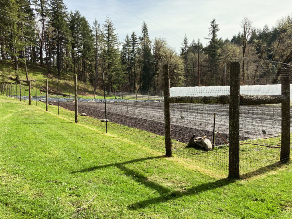 A wire mesh farm fence with sturdy wooden posts installed by Olson Handyman Services, LLC in New Braunfels, TX