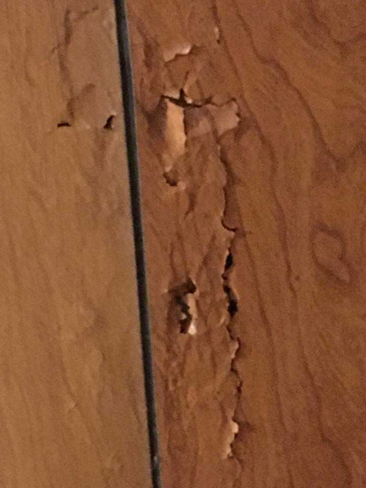 Close-up of wood damage, likely caused by pests, handled by Affordable Pest Technicians in Services Available In.